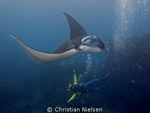 Happiness :-). My friend Made with a friendly manta ray o... by Christian Nielsen 